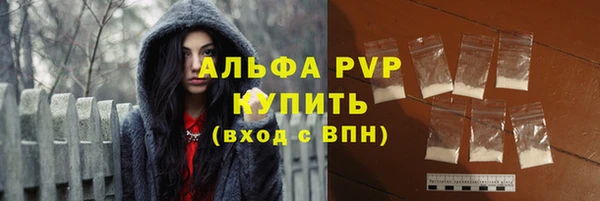 сатива Арсеньев