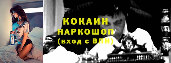 сатива Арсеньев