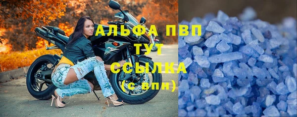 сатива Арсеньев