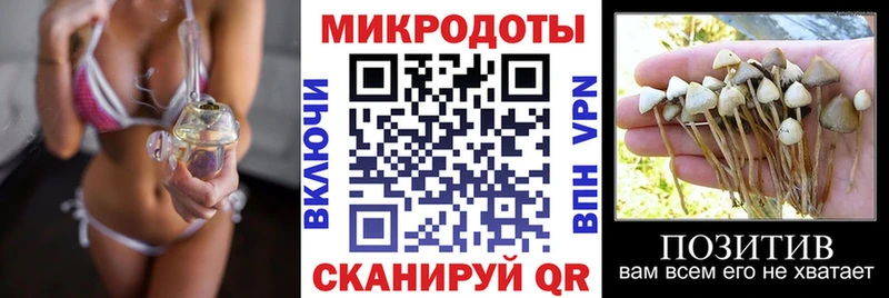 хочу наркоту  Лесозаводск  Псилоцибиновые грибы MAGIC MUSHROOMS 